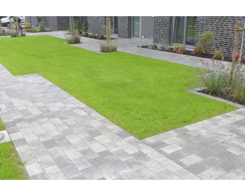 Jardin avec pelouse et pavés