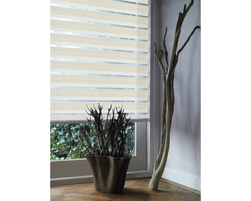 Sichtschutzrollo am Fenster mit dekorativen Elementen im Raum.