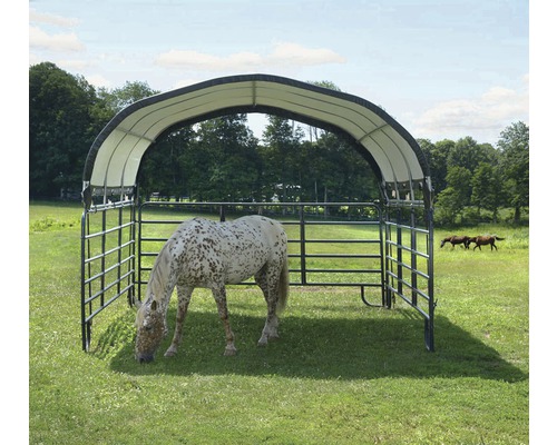 Abri pour chevaux avec un cheval dans un pré.