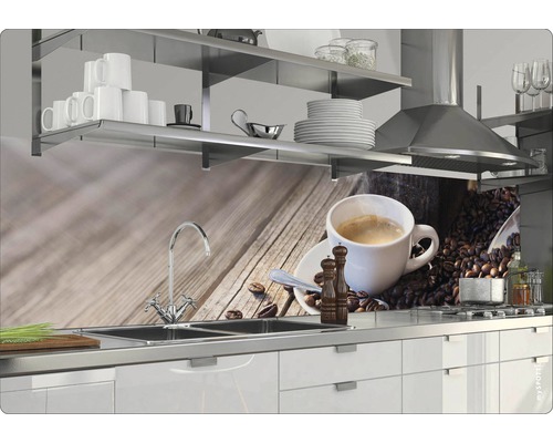 Scène de cuisine avec évier, plaque de cuisson, hotte aspirante, étagères et motif café