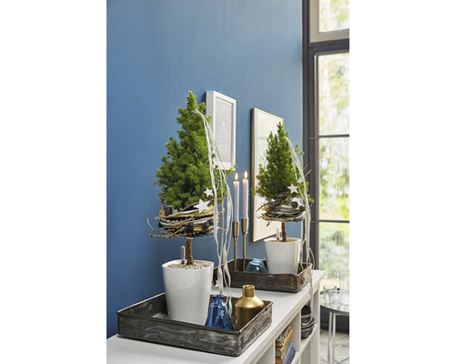 Table décorative avec deux petits sapins de Noël dans des pots blancs, complétée par des bougies et d''autres décorations dans un cadre de pièce confortable.