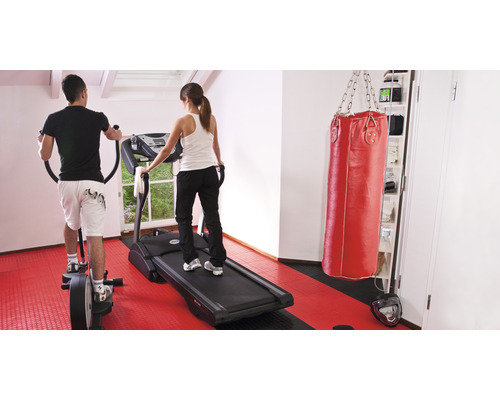 Salle de sport avec stepper, tapis de course et sac de frappe