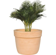 Pflanztopf Lafiora Big Pot Terrakotta Ø 56 cm H 47 cm terracotta