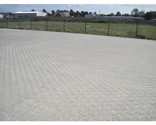 Surface avec des pavés en motif de chevrons