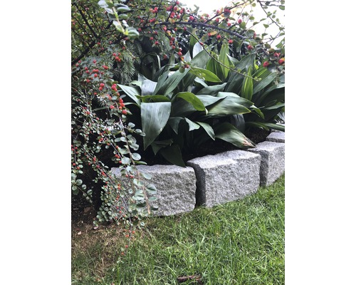 Garten mit Pflanzen und Steinbegrenzung