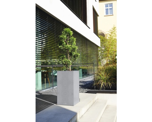 Pot de fleurs gris avec plante sur un escalier extérieur devant un bâtiment.