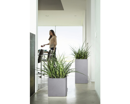 Deux bacs à fleurs gris avec des plantes vertes dans une pièce lumineuse