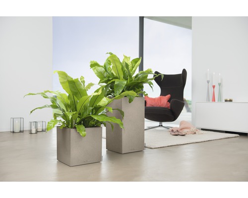 Deux pots de fleurs carrés avec des plantes dans un salon lumineux.