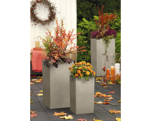 Arrangement floral dans deux pots de fleurs gris sur une terrasse avec des feuilles d''automne