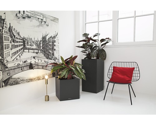 Deux bacs à plantes gris avec des plantes dans une pièce lumineuse