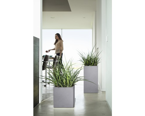 Deux bacs à plantes avec des plantes dans une pièce lumineuse