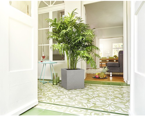 Scène d''intérieur avec plante d''intérieur dans un pot de fleurs gris