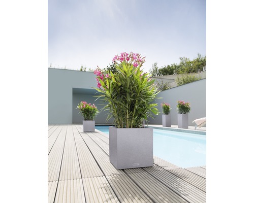 Pot de fleurs carré avec plantes à côté d''une piscine
