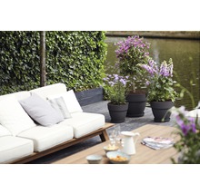 Terrasse mit Pflanzkübeln, Sitzgruppe und Bewuchs