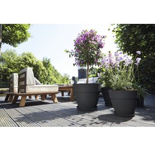 Terrassenszene mit Gartenmöbeln und Pflanzgefäßen im Außenbereich