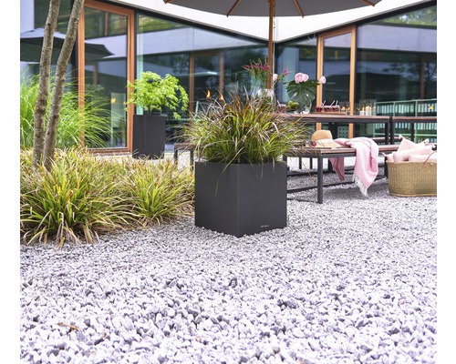 Gartenszene mit Pflanzen in einem viereckigen Pflanzgefäß auf Kies