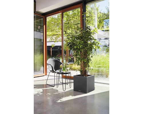 Helles Interieur mit Pflanze im viereckigen Pflanzgefäß, Stuhl und Tisch nahe Fensterfront