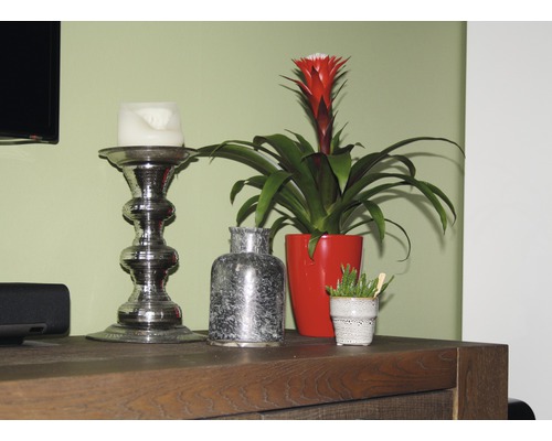 Dekorative Elemente auf einer Holzkommode: Kerzenständer, Bromelie im Topf und eine kleine Vase