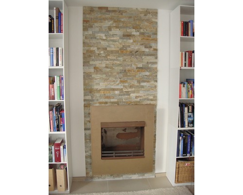 Salon avec cheminée et bibliothèques