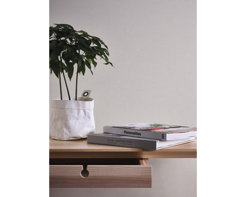 Nature morte décorative avec plante en pot, livres et bureau en bois