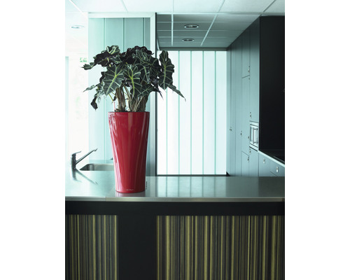 Scène de cuisine avec évier, plan de travail et plante en pot dans un cache-pot rouge