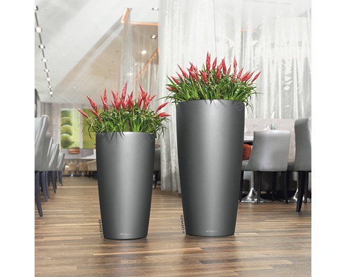 Deux grands bacs à plantes avec des plantes sur un plancher en bois.