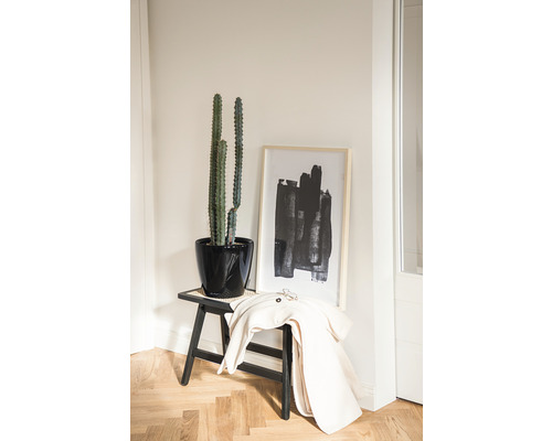 Intérieur décoratif avec cactus dans un pot noir sur un tabouret, complété par une œuvre d''art abstraite encadrée et une veste.
