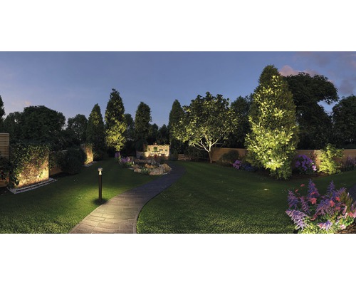 Jardin éclairé avec chemin, arbres et parterres de fleurs