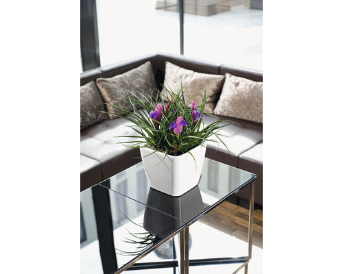 Arrangement décoratif avec des iris violets dans un cache-pot blanc sur une table d''appoint