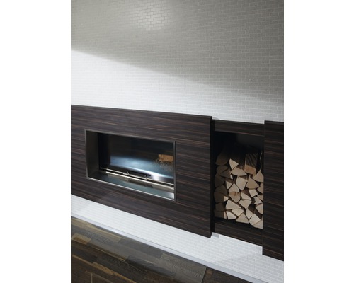 Cheminée moderne avec niche à bois et bois de chauffage