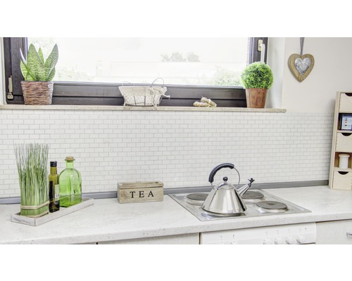 Scène de cuisine avec carrelage, plaque de cuisson et décoration