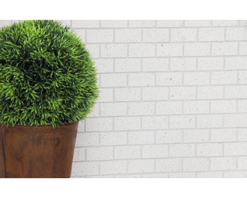 Boule verte décorative dans un pot devant un mur de briques