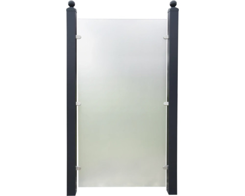 Gartenzaun Sichtschutzwand mit Glaselement