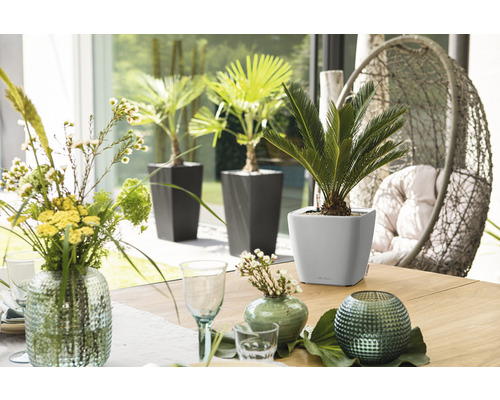 Tischdekoration mit Pflanzen in Pflanzgefässen und Blumenvasen in einem hellen Raum.