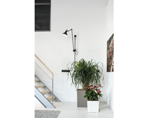 Innenszene mit Treppe, Wandleuchte, Garderobe und Zimmerpflanzen in Pflanzgefäßen