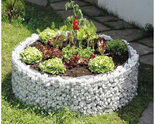 Jardinière surélevée en gabion avec de la salade, des herbes et des tomates dans le jardin.
