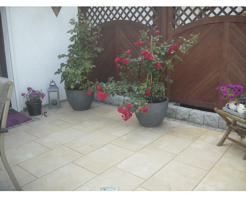 Terrasse avec pavés, rosiers en pot et clôture en bois