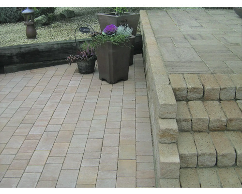 Aménagement de jardin avec pavés, escalier et pots de fleurs.