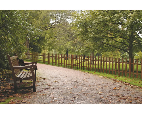 Scène avec banc de parc et clôture en bois le long d''un chemin