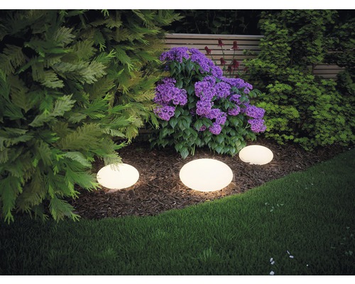 Gartenlandschaft mit Pflanzen und runden Gartenleuchten