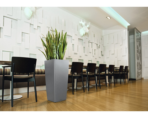 Photo d''intérieur d''une pièce avec une table à manger, des chaises et un grand bac à plantes gris avec une plante verte