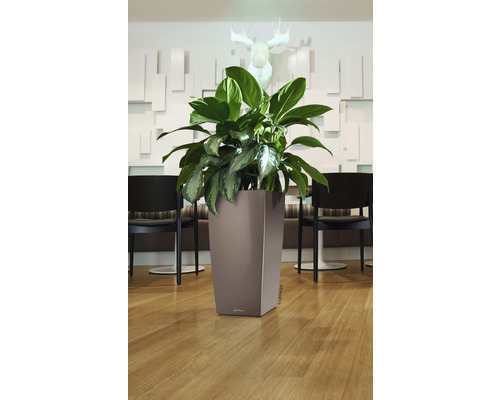 Hoher Pflanzkübel aus Kunststoff mit Pflanze vor einer dekorierten Wand