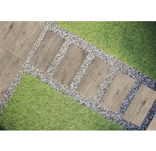 Chemin de jardin avec dalles en pierre, gravier et pelouse