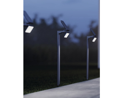 Plusieurs lampes solaires le long d''un chemin dans le jardin.