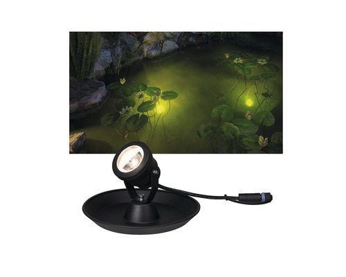 Lampe de bassin avec bassin en arrière-plan