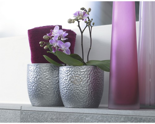 Arrangement décoratif avec orchidée dans un pot argenté, serviette et vases