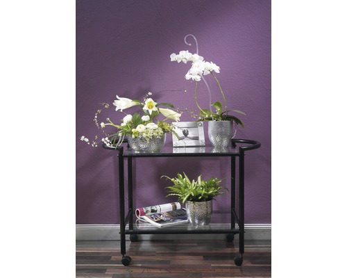 Chariot de service avec compositions florales et plantes d''intérieur sur deux niveaux devant un mur