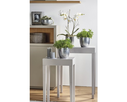 Décoration intérieure décorative avec des plantes en pot et des bougies sur les tables