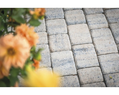 Verlegte Betonpflastersteine im Garten