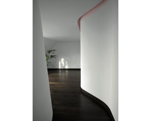 Intérieur avec plancher en bois et plante d''intérieur